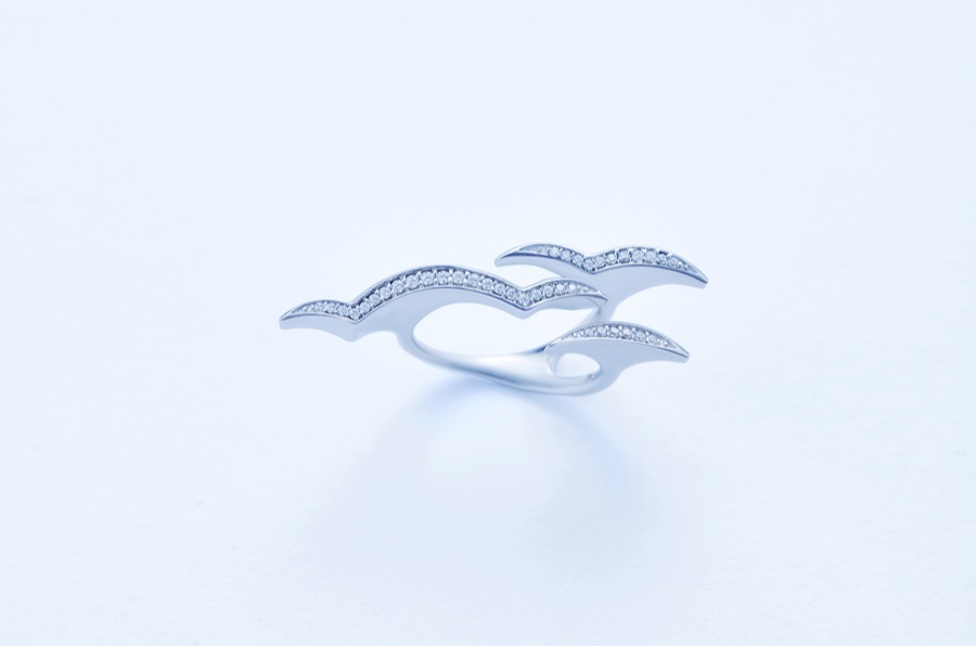 Cloud ring cc 1